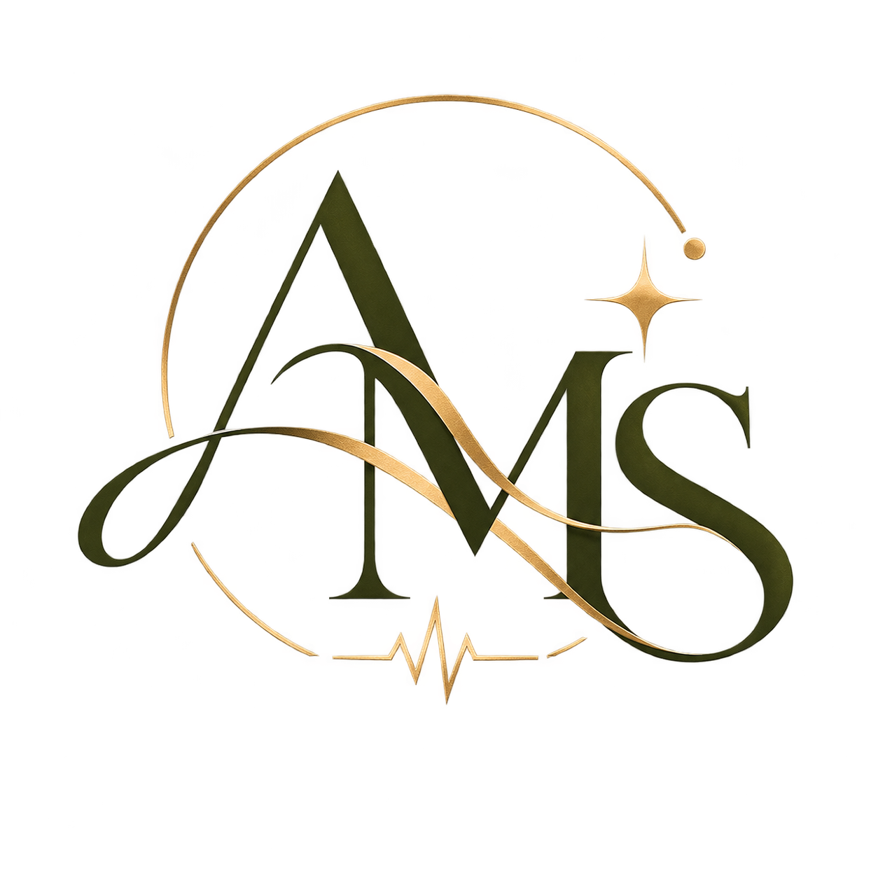 Эмблема AMS Academy